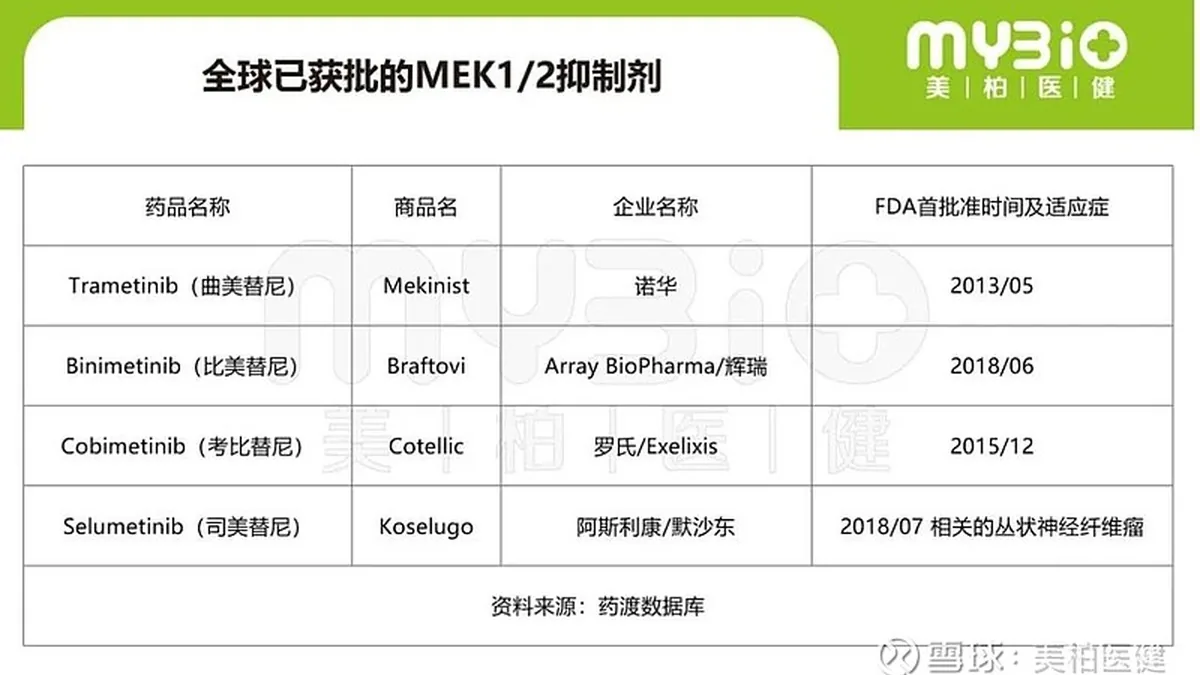 儿童肿瘤基因检测报告显示BRAF V600E突变